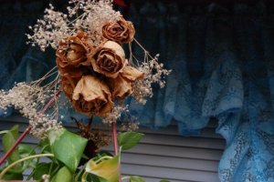 157_519400784777_1417_n