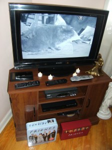 And to round it out a little premiere of the "Smelly Cat" music video ;).... followed by an after party of friends episodes with my friends buff Lauren <3