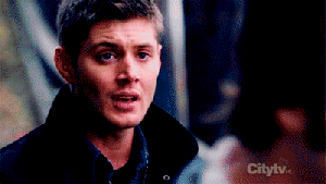 3134523384_1_2_BPP7iryL