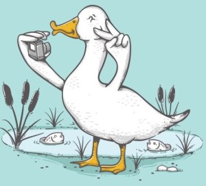 550060-23b5e66e3351086a5edec40fc3539a75[1]