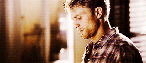 3121756853_1_13_OVRGA1DW