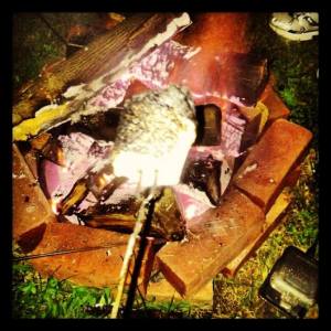 10557440_10204088525434603_1399437288171797426_n[1]