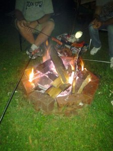 10629721_10204088525074594_3742361222962171158_n[1]