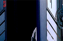 tumblr_mg107eOA3j1rbg05io1_250