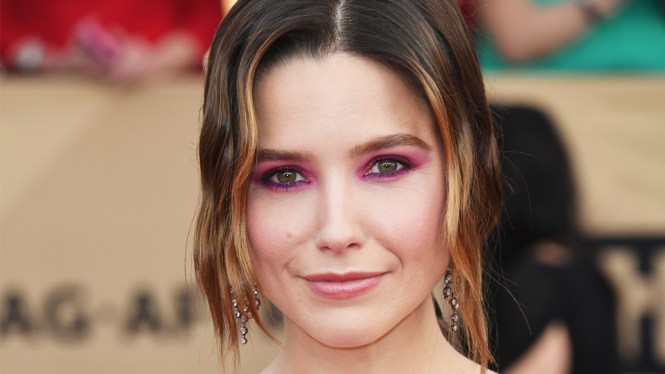 sophia-bush-sag-awards-2017-makeup11