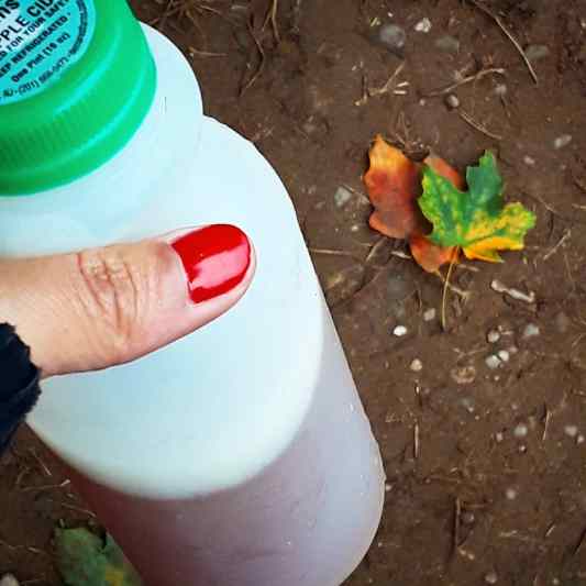 IMG_20181008_220428_145